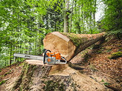 MS 881 CHAINSAW 24"